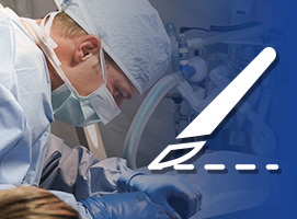 cirugia general mascotas veterinario