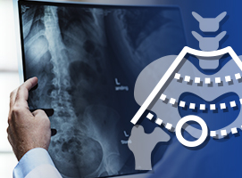 radiologia y ecografia veterinario animales